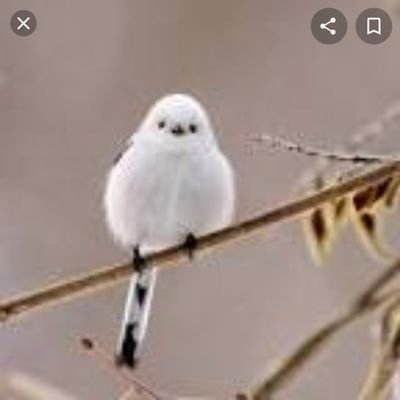 Creap'sさんのプロフィール画像