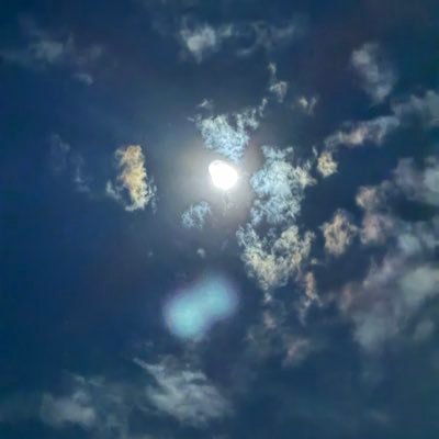 ngoch_thuan's profile picture. tradig hode