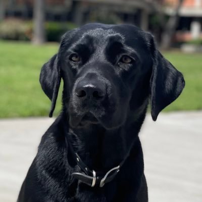 mamba_dre's profile picture. 