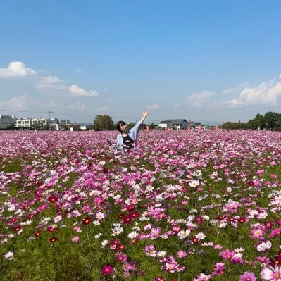 iVfB7J4XLVMit6W's profile picture. 大阪のおばちゃん。