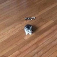 Jazza (@jazzafps) 's Twitter Profile
