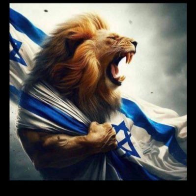 Talis855's profile picture. We will not relent in our mission until the light overcomes the darkness. Never forget, never forgive.