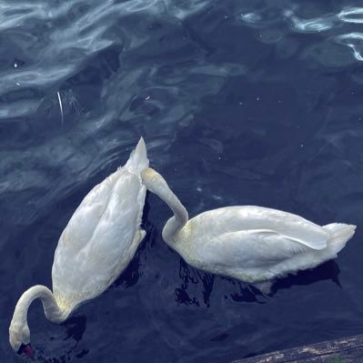 18J12's profile picture. 