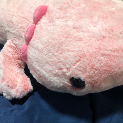 来られないけど去るもの追わず//バンクバン男、星野、めちゃモテ委員長/菅原、菜津美、大鳳、拓真、ヤスオ、時計、記者、カビ人間、コント先輩、医者、マモル、優太