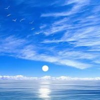 Mavi Horizon (@mavihorizon2023) 's Twitter Profile