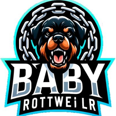 Baby Rottweiler - polygon token 
Discord: https://t.co/bE6VfcsWdX
telegram: https://t.co/B7IscIag0j…
Contract:0x948d653f014d02aaa56c0fce794443ecc827ab28