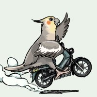 すな🐣オカメインコの里ポレリオ (@pollelio_1048) Twitter profile photo