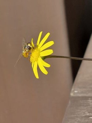 tsunagi_tsunagu's profile picture. キャンサーサバイバーのハンドメイド作家　　🎦映画｢ブルーボーイ事件｣チラッと出演&装飾お手伝いの｢おうえん隊員｣