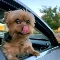 Ntiala (@cryptoreigner) 's Twitter Profile