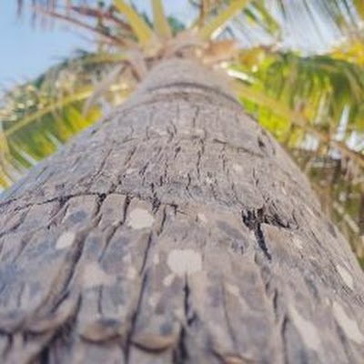 AlexHer35178901's profile picture. 