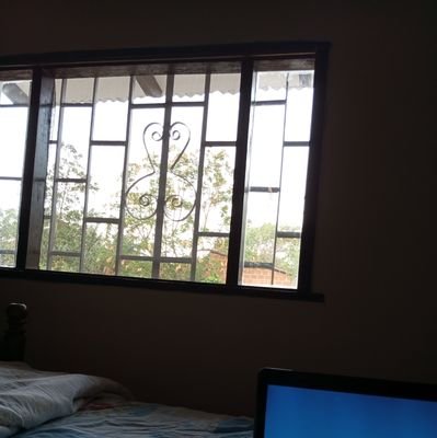 unityforall74's profile picture. Paralelo 99 Antártida