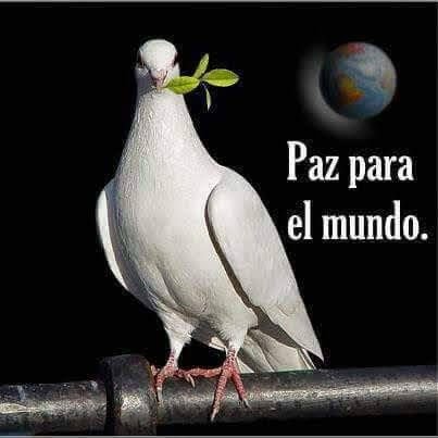 🔊Yó no apoyo a ladronés y sí están Vestido🌴dé Rojo Menos💥Agamos El Bien💘 Sin Miral Á Quien 🥂Cambió☄️Climati🌋Có Preso a Los Ladronés
#AmiTúnóMéconvensé