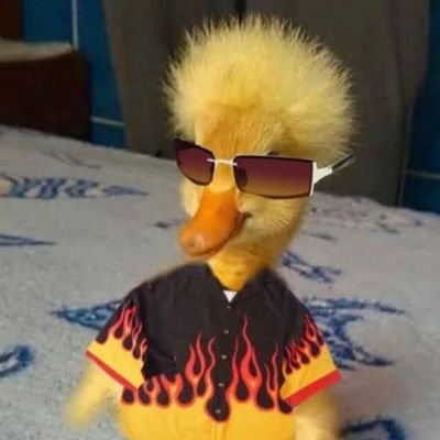 Power_Duck17 Profile Picture