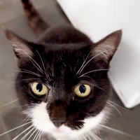 zRai (@zraaiii) 's Twitter Profile