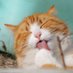 meme that make you smile (@fun_club_137) Twitter profile photo meme that make you smile (@fun_club_137) Twitter profile photo
