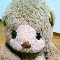 ラッコペイ (@negimiso_syo) Twitter profile photo