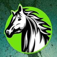 Rein It In! Horse Racing(@ReinItInHR) 's Twitter Profileg