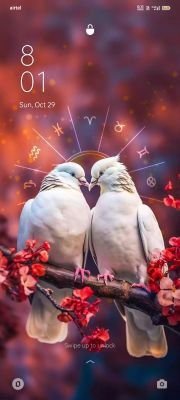 0bddce87f74a4e2's profile picture. 