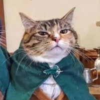 beatriz 🎄🎄 (@weatrix_) 's Twitter Profile