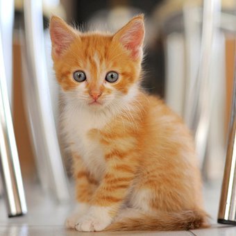 elbahr_negma's profile picture. Live your life 🔔just for yourself🌺