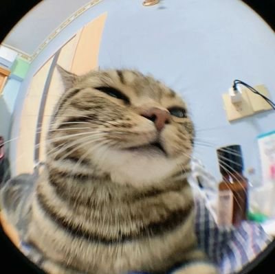 hynhlisa_'s profile picture. simple