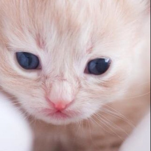 sweethj012's profile picture. 절대 긍정녀 / 쿨녀 / 스마일녀 / 유개념녀 / 배짱두둑녀 / 멍효정 / 굉장한 사람되기 / 아날로그에서 사이보그로 진화중