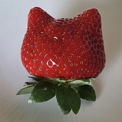 M Rant accountさんのプロフィール画像