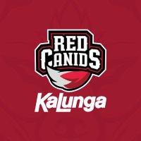 RED Canids Kalunga(@REDCanids) 's Twitter Profile Photo