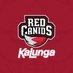 RED Canids Kalunga (@REDCanids) Twitter profile photo