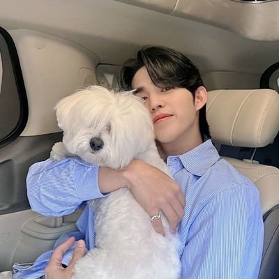 hai👋 | cie kepo😜 | harta, tahta, anak bungsu kaya raya (re : seungcheol)