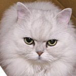 shao (@shao_game12) 's Twitter Profile Photo shao (@shao_game12) 's Twitter Profile Photo