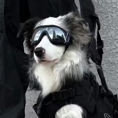 radiatium_0v0's profile picture. 