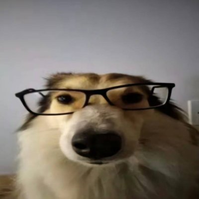 saila_bilal's profile picture. 