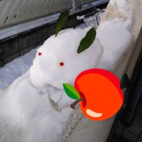 雪うさ☆りんご 🍎(@usane3) 's Twitter Profile Photo