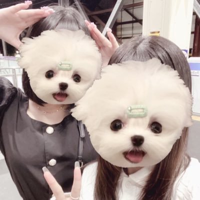 天才子ヤギくん🐐♡