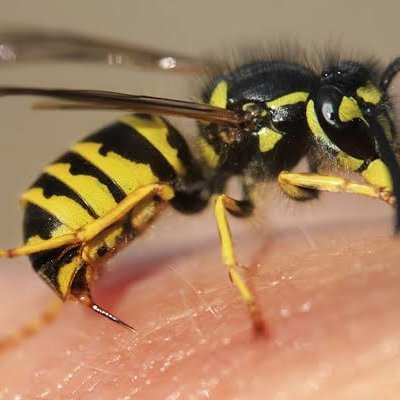 Marimblonde's profile picture. Modelo e manequim