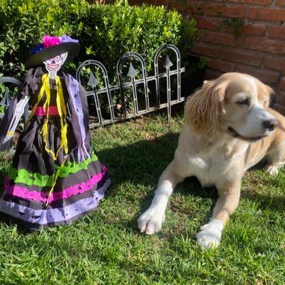 Exit_Music25's profile picture. Everything that kills me makes me feel alive. 🎶