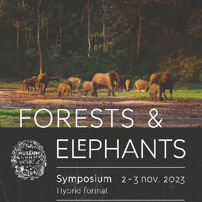 Forests and Elephants - Symposium, November 2nd and 3rd, in Paris at Muséum National d'Histoire Naturelle. Join us to attend in person or remotely.