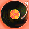 SPINCRAZE.bsky.social (@spincraze) Twitter profile photo