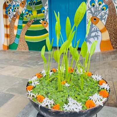 jiyashekhawat's profile picture. 