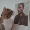 herseyekarsiben's profile picture. Manisa vatandaşı, bi’ miktar da deli..