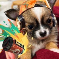 Xen (@xenvlrt) 's Twitter Profile