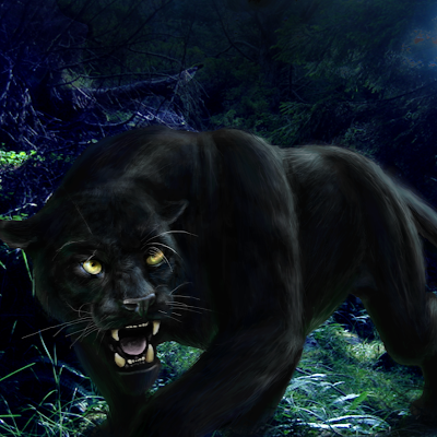 AqueleQD's profile picture. 