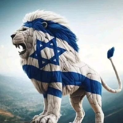 RaulRflaya's profile picture. Raulin