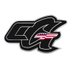 Caleb G Racer (@calebgracer) Twitter profile photo Caleb G Racer (@calebgracer) Twitter profile photo