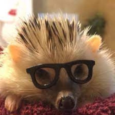 kukosik7's profile picture. #SomniaNetwork #CoinSide #яслиноваястратегиямыпростосупер