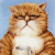 Practitioner of the holy art of Internet Zen.