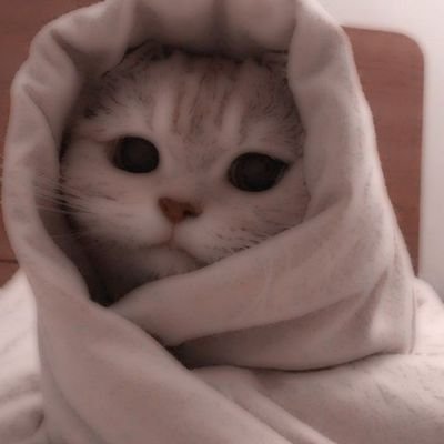 badut_ntT_T's profile picture. I like cats and rabbits too😺🐰