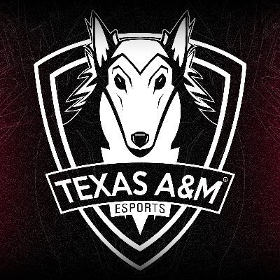 Official @TAMU Esports ✦ https://t.co/ycitSRUi7S ✦ https://t.co/TTFegiDgv1 ✦ @GenG