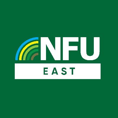 nfueast Profile Picture